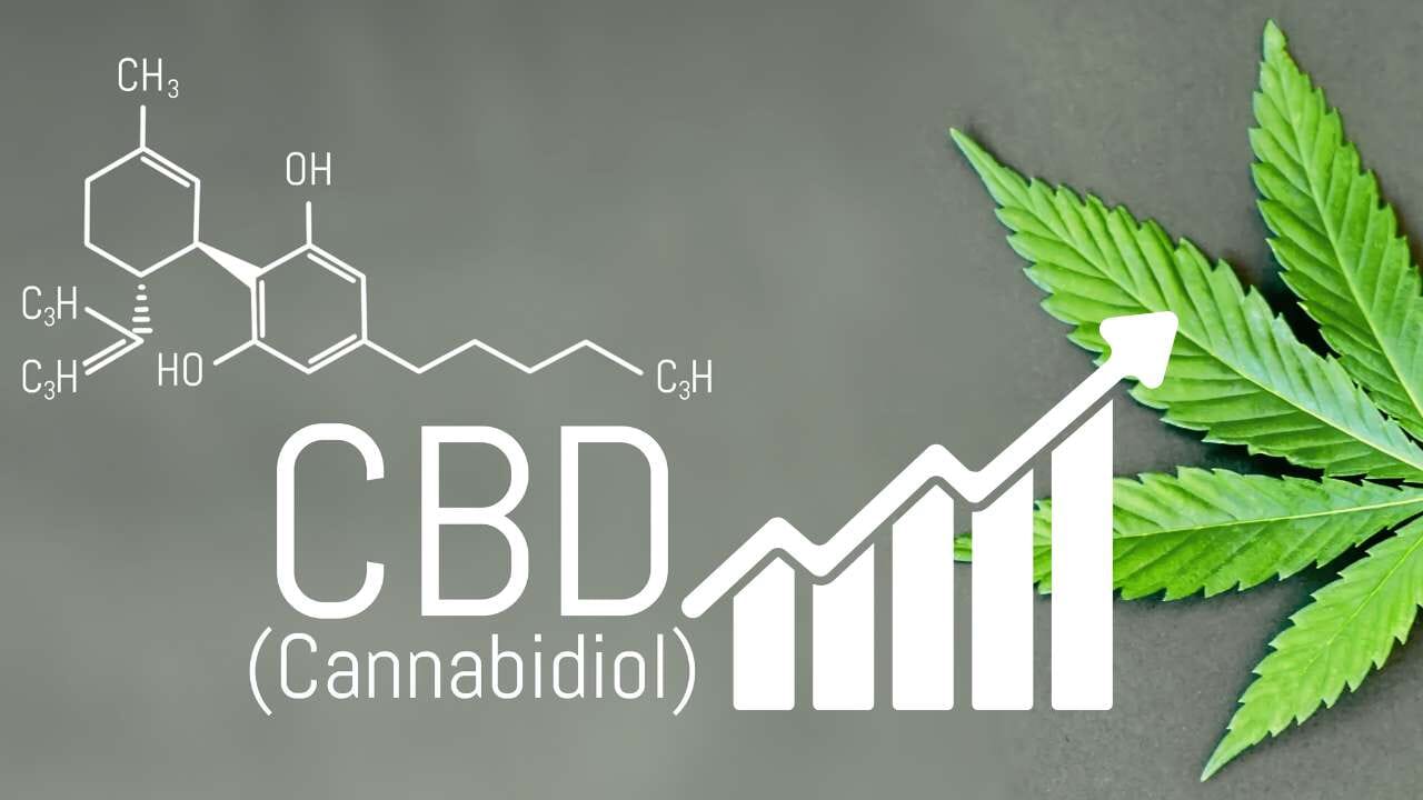 What Happens if You Take Too Much CBD? Can You Have Too Much?