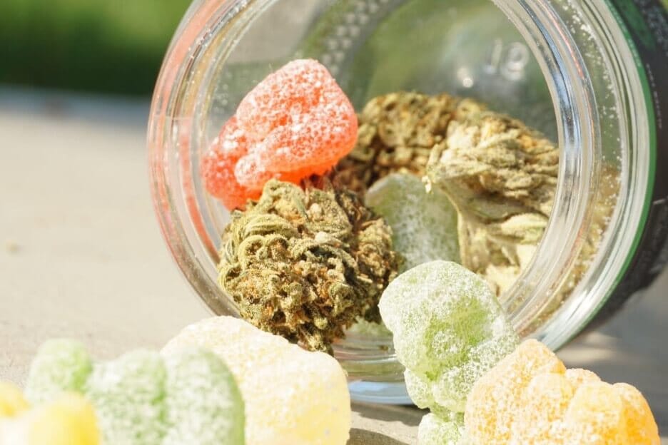 Delta 8 Gummies vs CBD Gummies: What’s the Best?